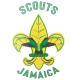 The Scout Association of Jamaica