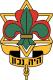 The Hebrew Scout Association