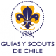 Asociación de Guías y Scouts de Chile